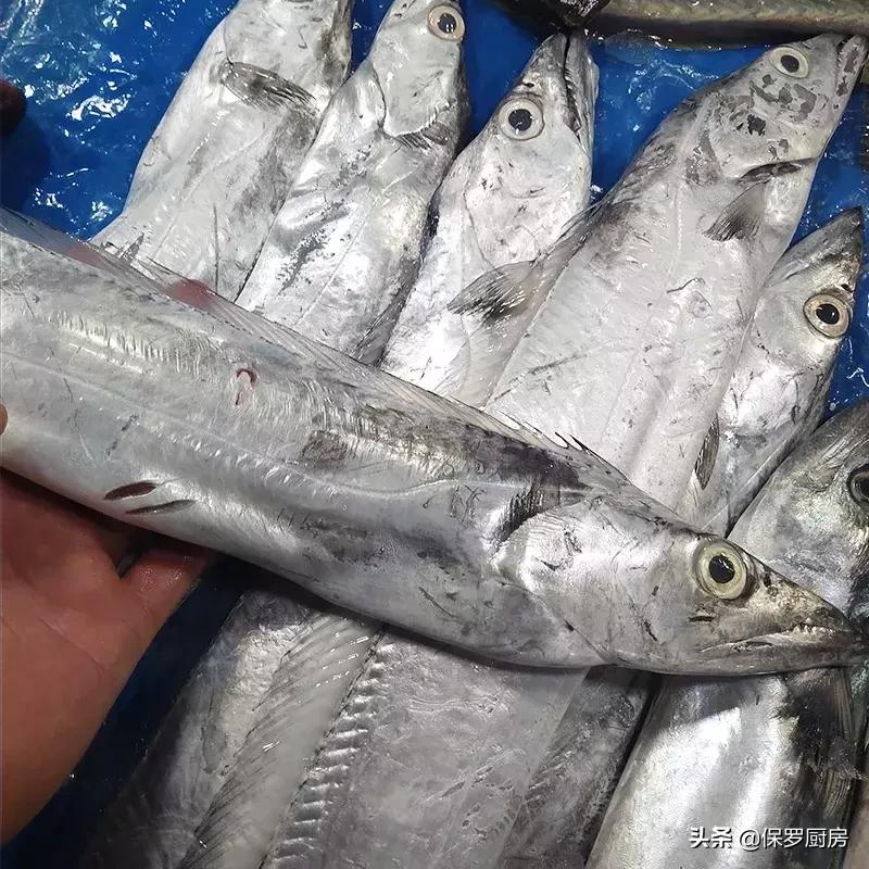 海鲜大荟萃,常见贝壳类海鲜