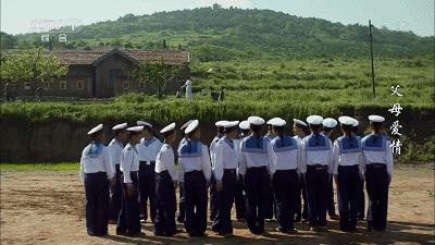 父母爱情为何拿奖,父母爱情总共获得几回奖