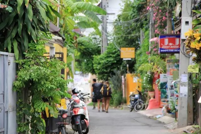 等待一个人来一场说走就走的旅行,等一个人陪我去秋天的腾冲