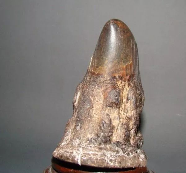 文玩的十大黑幕,文玩最让人无奈的六件事