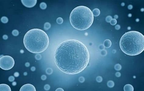 疫情期间老人病重如何救治,脑血管病在疫情期间怎么治疗