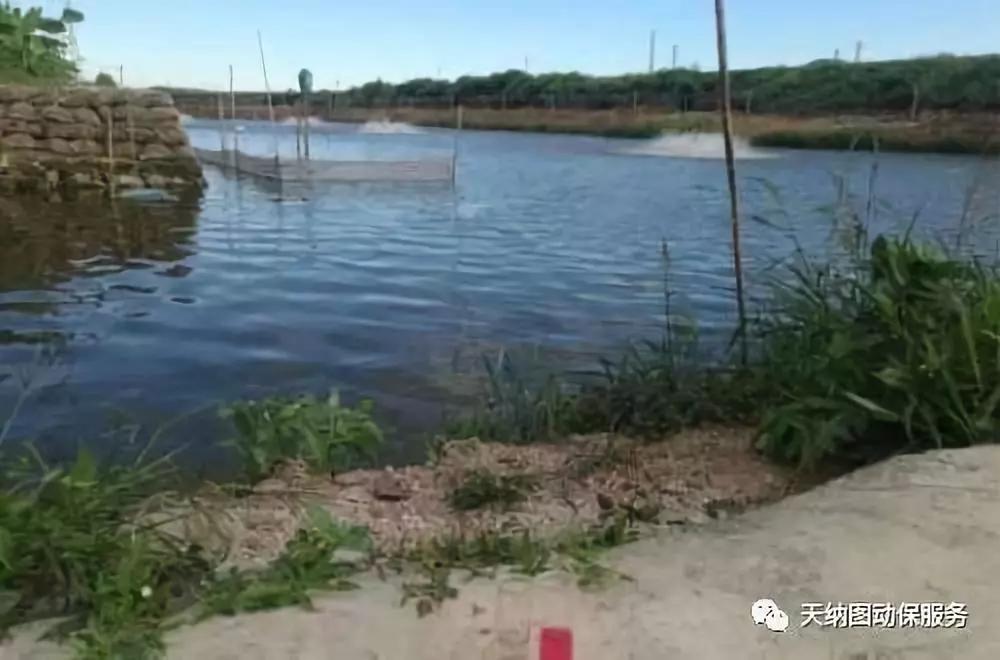 养殖水质的管理技术,养殖水体增产的方法