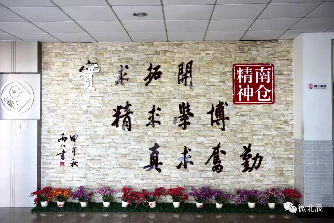 超燃现场燃爆全场校园,超震撼的快闪视频