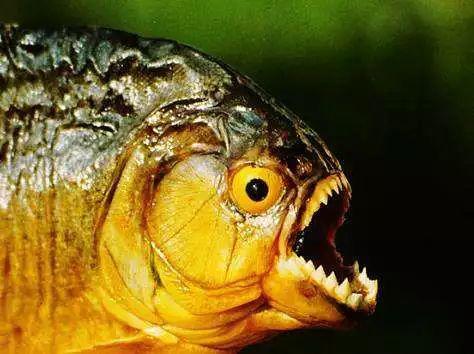 全民国家安全教育日保护公众健康,4.15全民国家安全教育日主题宣传