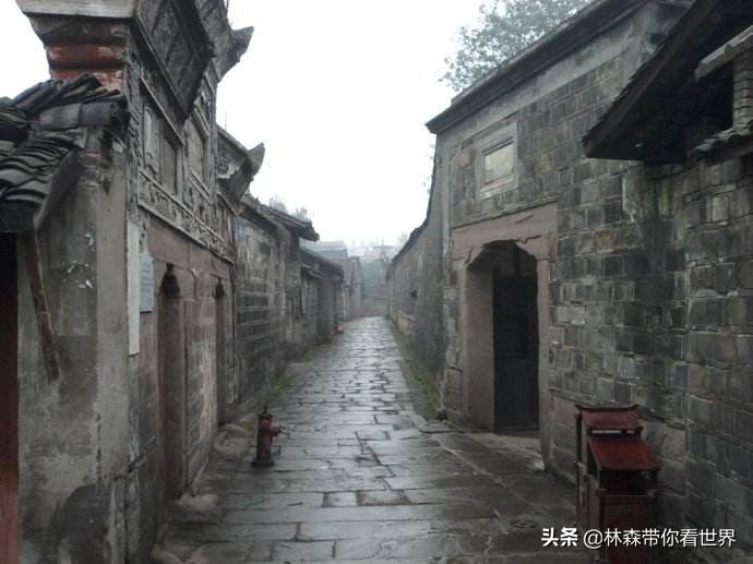 林森完整版免费观看,林森完整视频