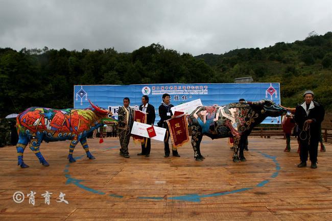 水牛身上画画,水牛身上画了牛郎织女画面