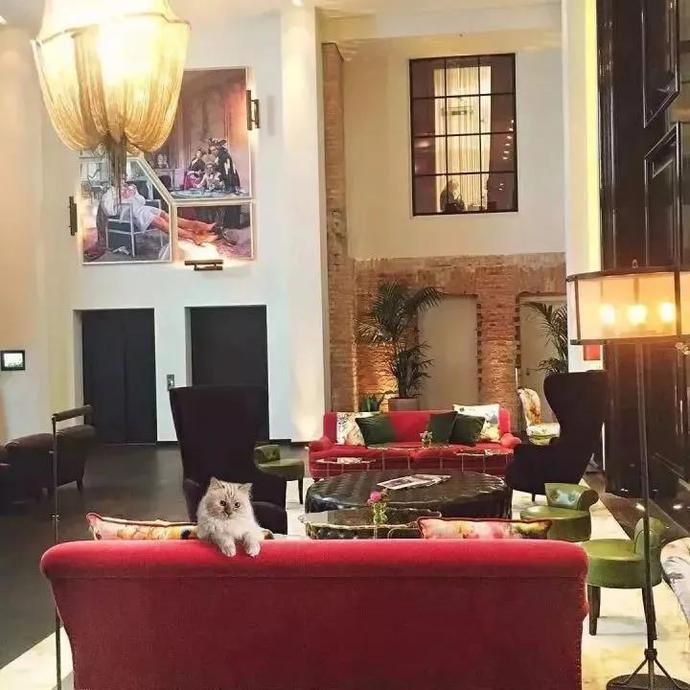 老佛爷13亿欧元遗产由猫继承,继承老佛爷21亿遗产的猫