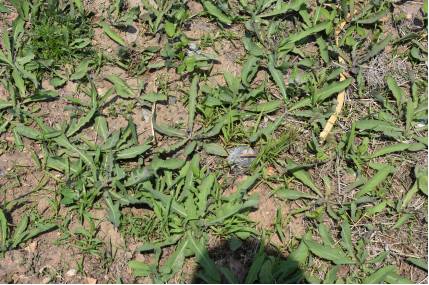 营口网红世外桃源,辽宁哪有世外桃源