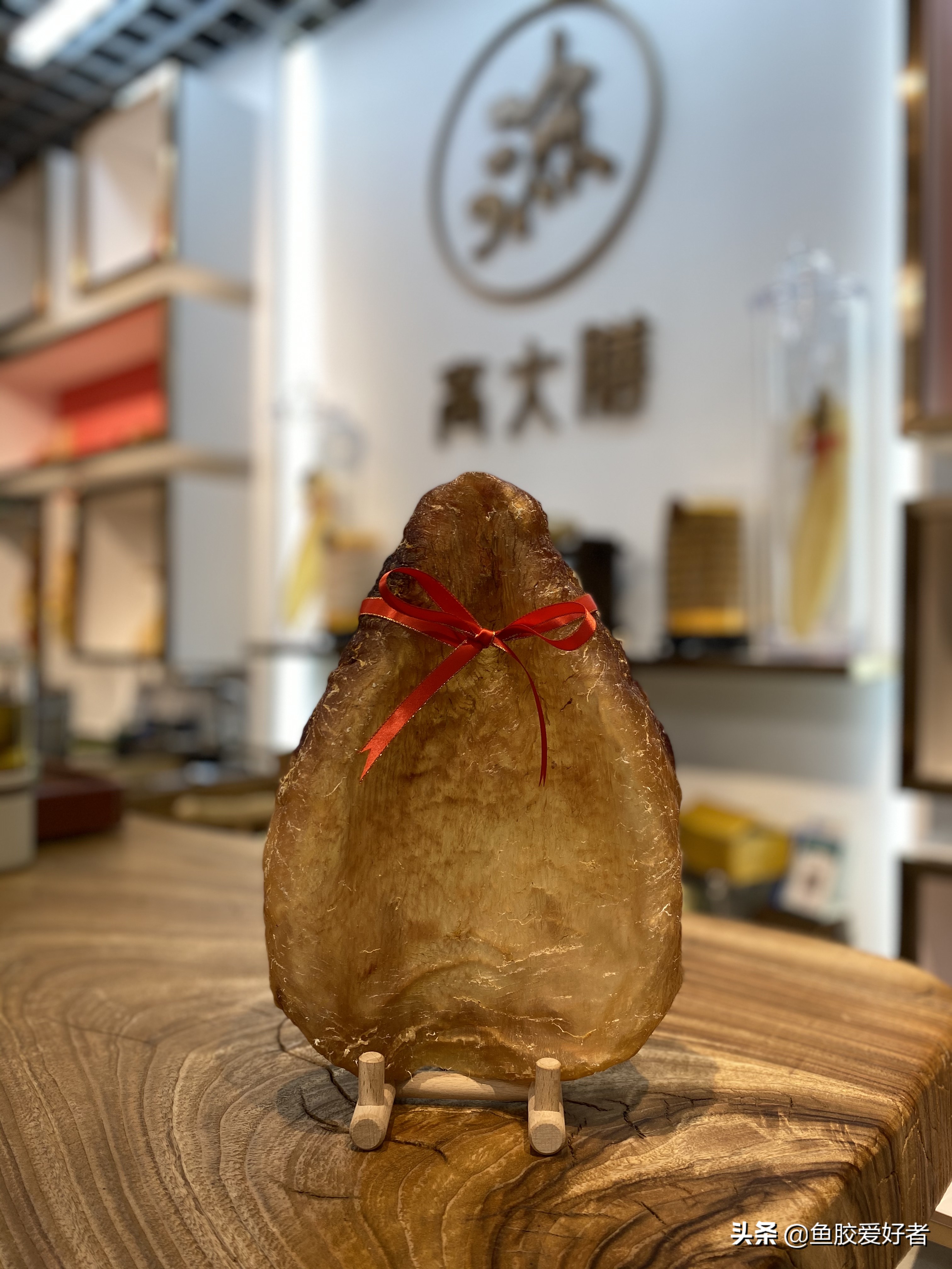 鱼胶跟花胶有区别么,鱼胶和花胶是一样吗