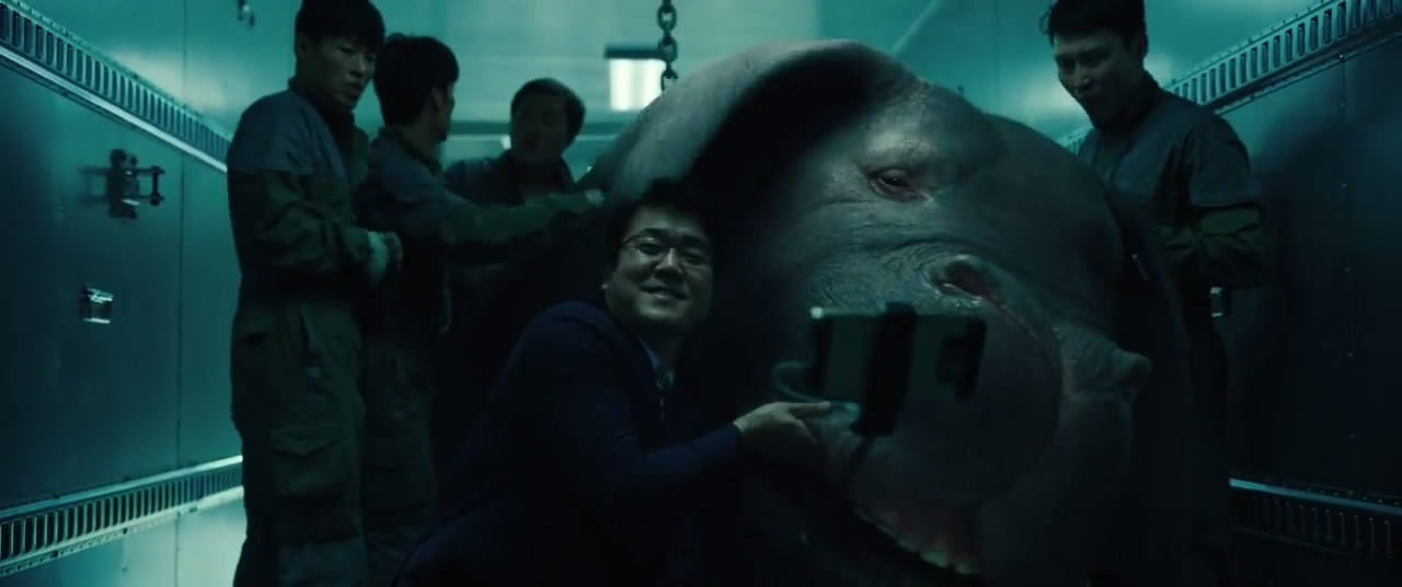 最近猪肉太贵了你们吃得起吗,最新最好的猪肉价格