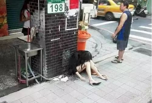 虽然她是在鄙视，不过我突然有了个大胆的想法