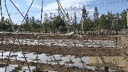 来马鞍山去哪玩,来马鞍山创客打卡