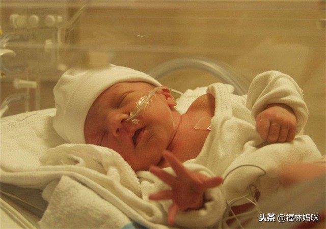 早产儿出院怎么护理应注意什么,早产儿出院护理要注意哪些