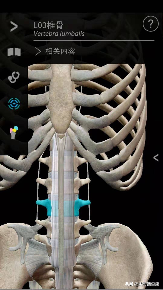 用3D来脊柱体表定位简单多了