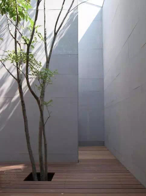 有禅意的天井,景观中的天井