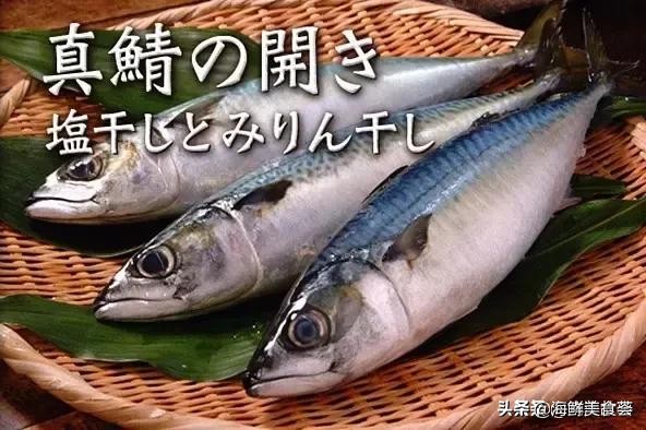 各种寿司纯鲜三文鱼刺身,日本传统寿司都用什么鱼