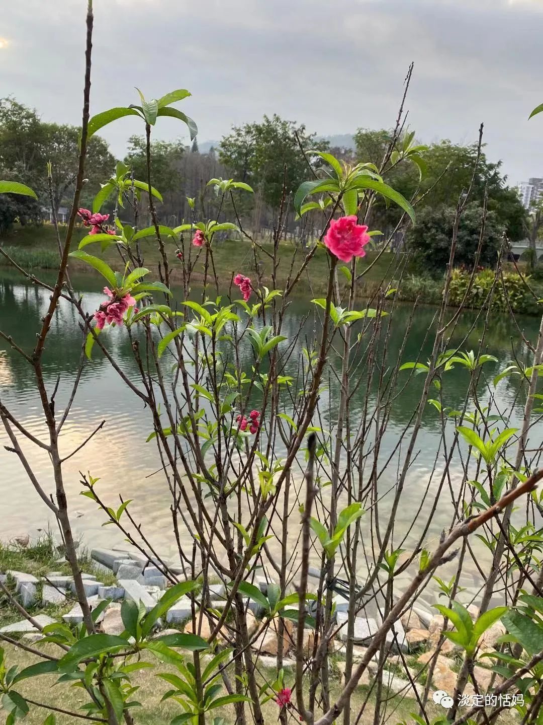 一边修脚一边讲故事,开口学古诗