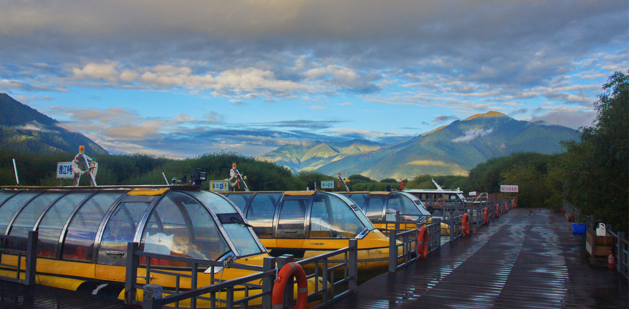 孟非进西藏遇到了什么,孟非西藏最新视频