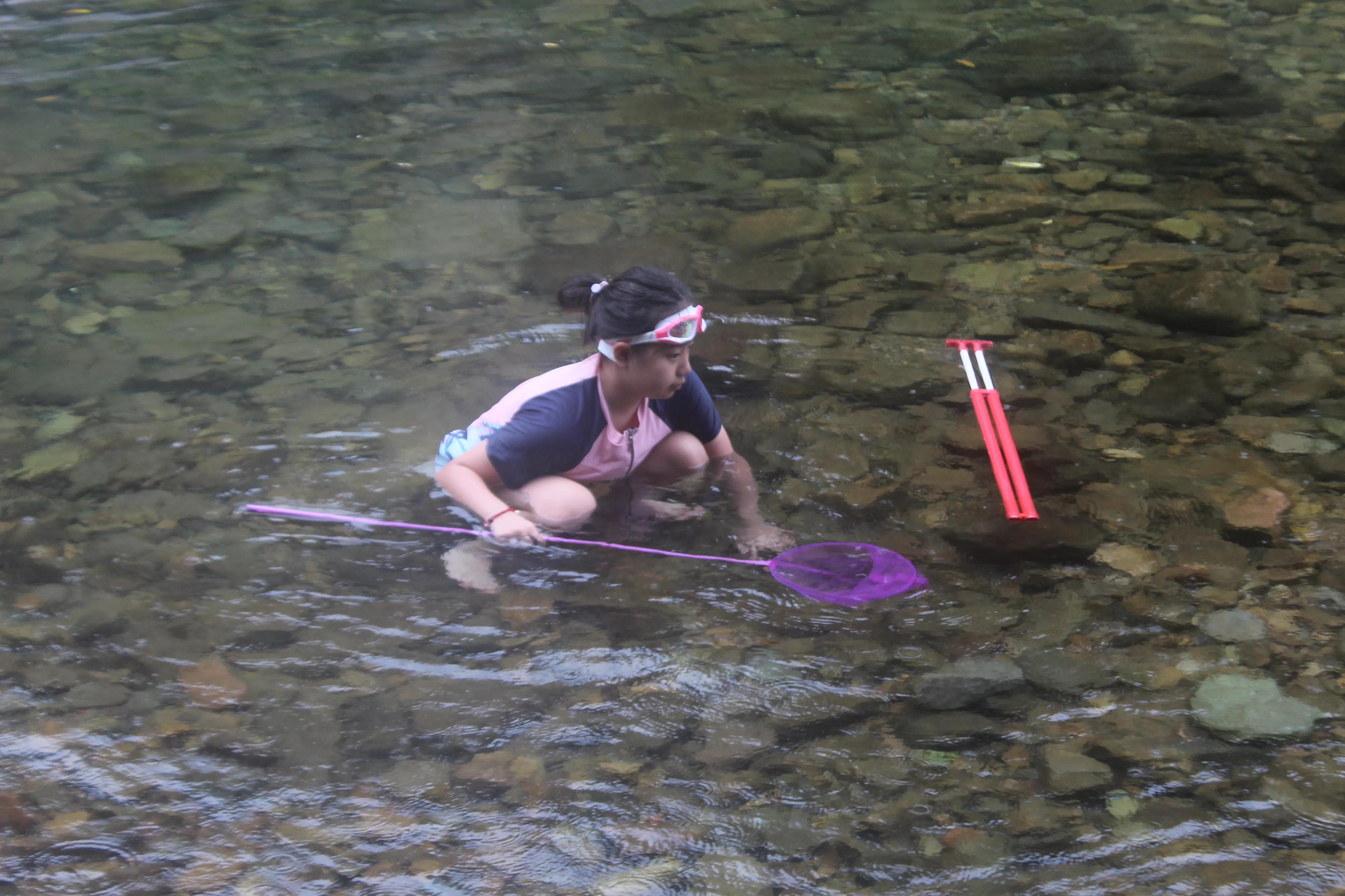 佳能eos1200d功能介绍,佳能eos1200