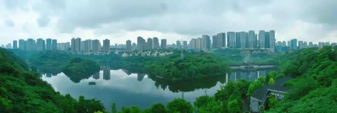 兴盛千年的九龙坡，下一个居住样本在哪里？