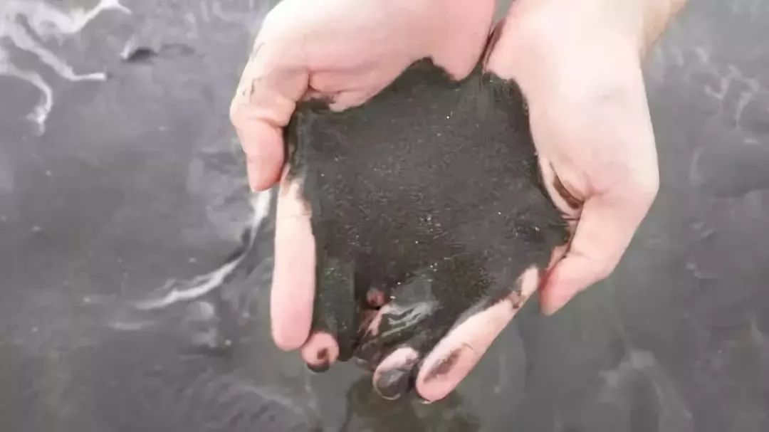 台山颐和温泉酒店私人泡池,台山颐和温泉酒店特价