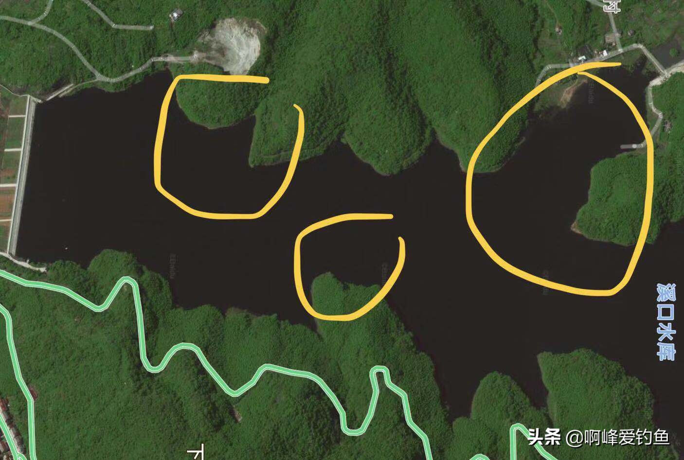 钓青鱼教程全过程,钓青鱼的技巧和方法讲解