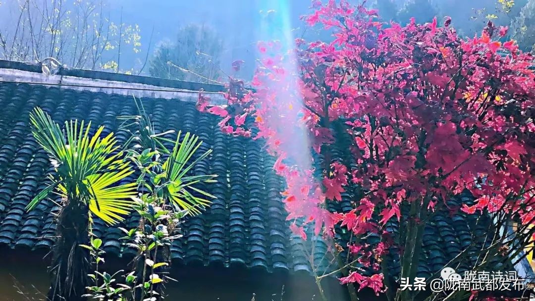 閲戠宄渤鍏洯,閲戠瑁曟渤鍥剧墖