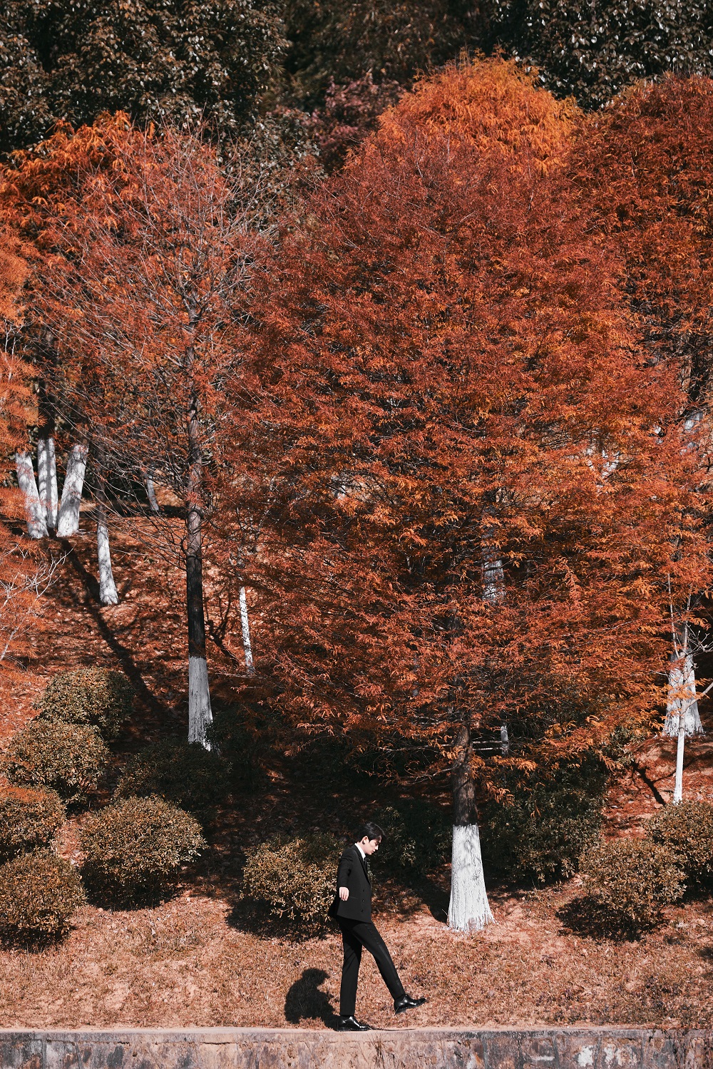 朱一龙笑容三格,朱一龙红衣绝美镜头