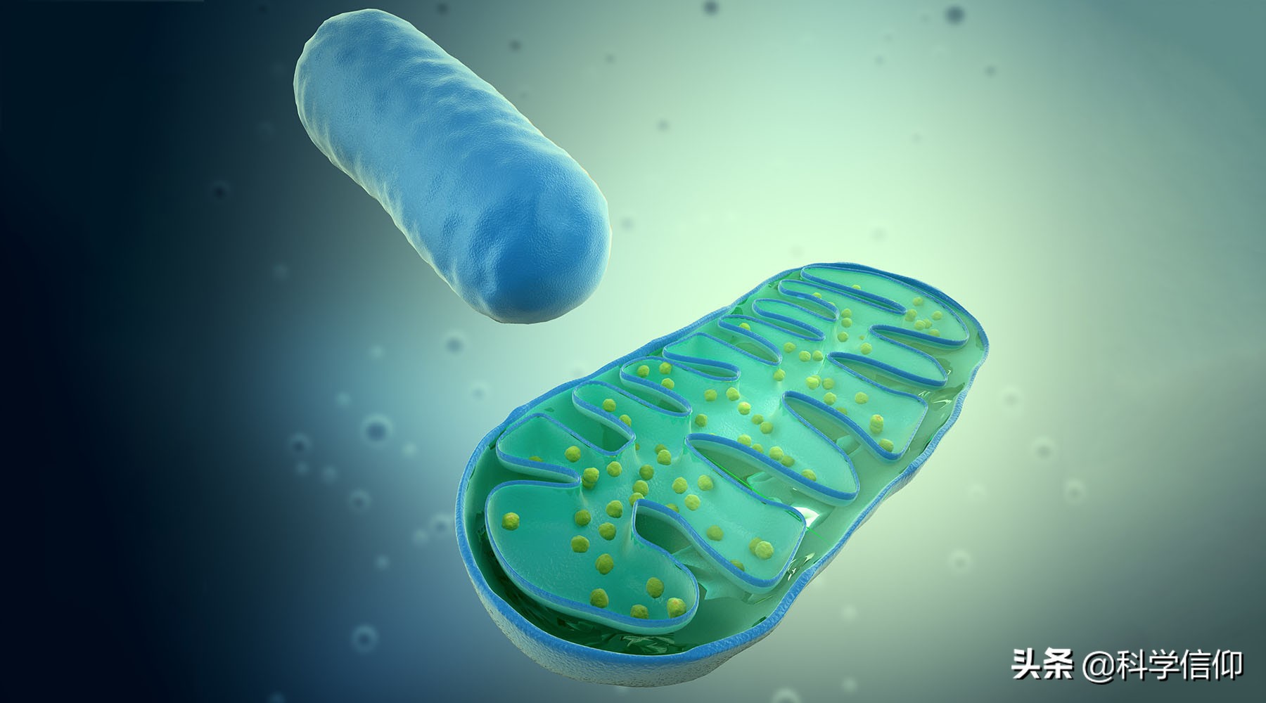 世界各地人种不同，全部起源于非洲？中国人未必