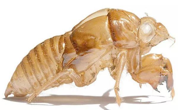 好奇宝宝会问的问题,好奇宝宝每日三问