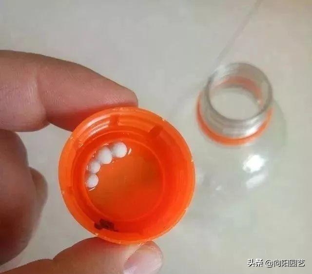 花盆里面的泥土很硬怎么办,花盆里的土特别硬怎么解决