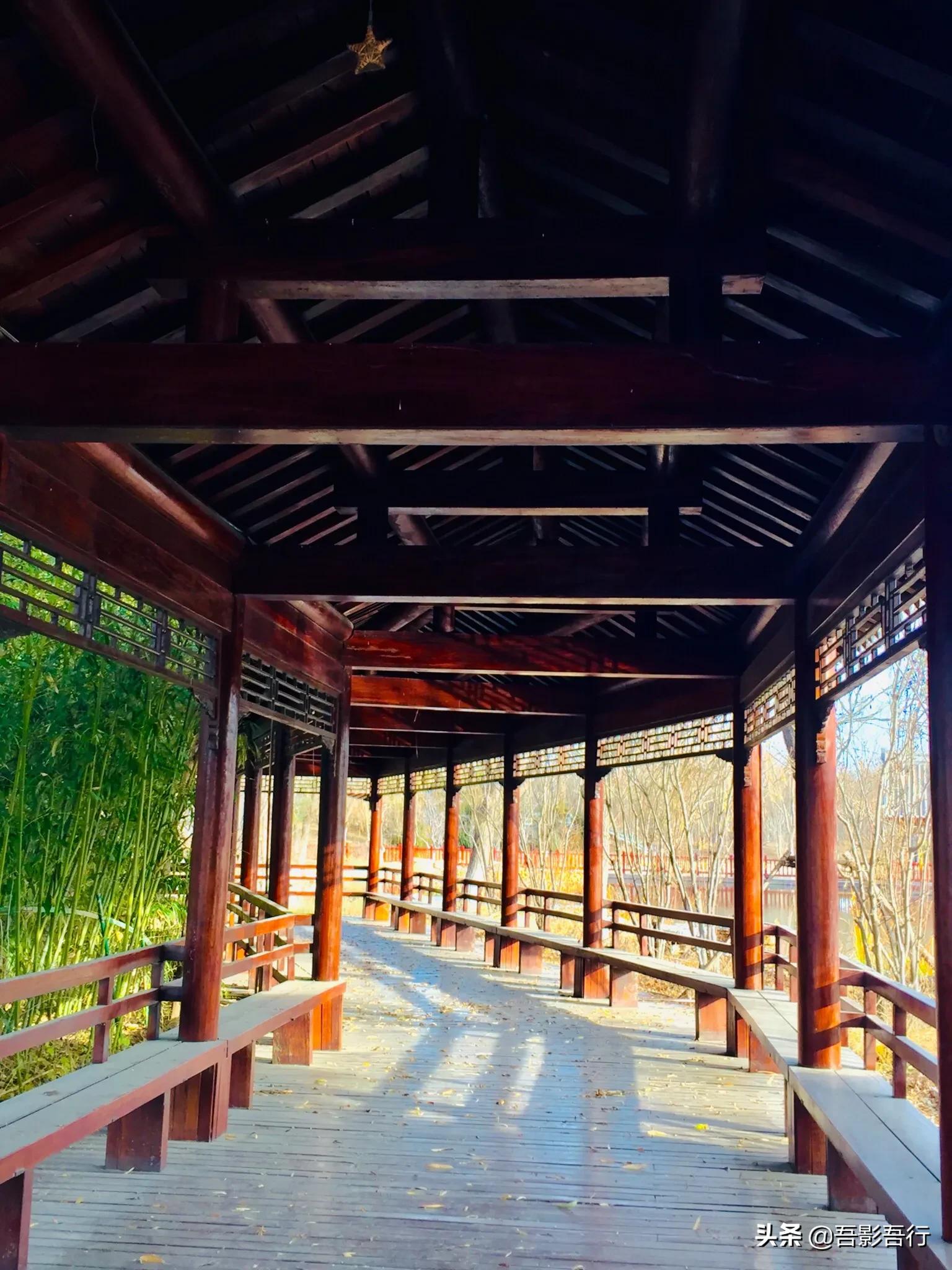 武清津北森林公园有哪些景色,天津武清森林公园开放时间表