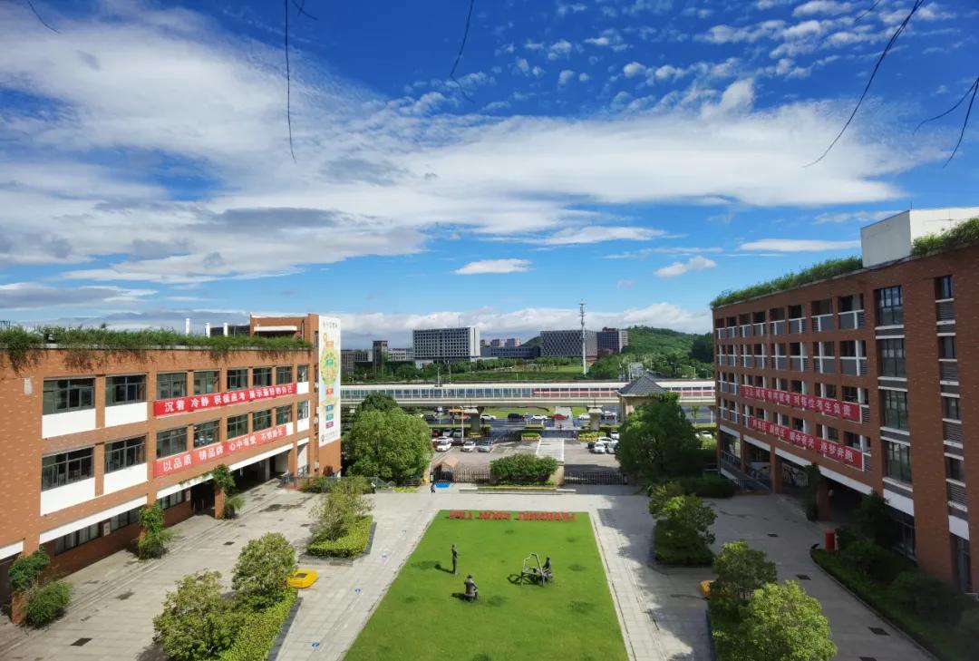 南京金陵小学仙林学费,南京市金陵小学仙林湖校区学费