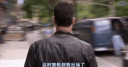 猫狗吃醋打架,吃醋的猫狗