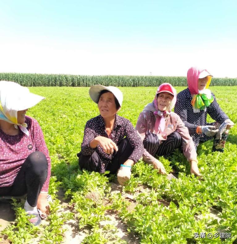 达拉特旗历史故事,关于达拉特旗的故事简短