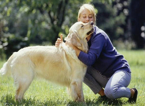 养狗遛狗能降低血压吗,养狗治好低血压