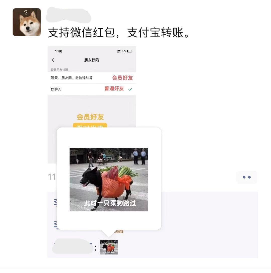 微信更新后朋友圈8.0.36,微信更新版朋友圈怎么很大了