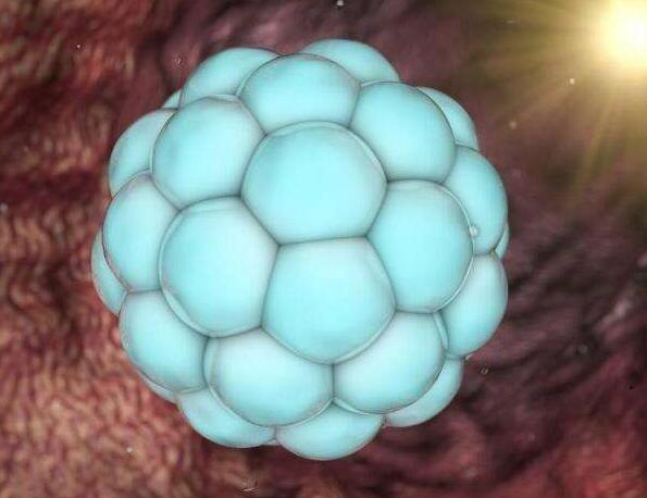 关于试管婴儿，流传最久的6大谣言，至今还有人会上当