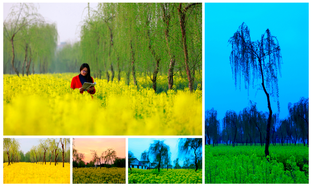 摄影人像怎么自己拍,如何拍摄一幅照片步骤图