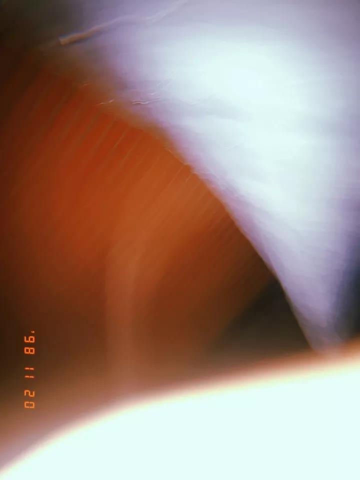 用手机就能拍出胶片照的app,有胶片感的手机拍照app