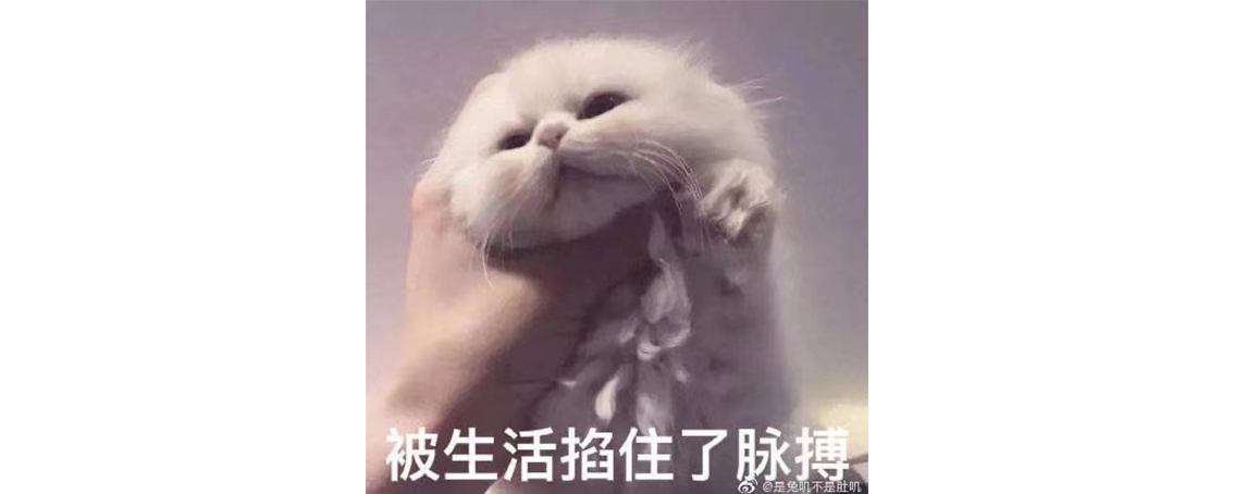 我啃老，摸鱼，伴富婆，治好了多年的内卷