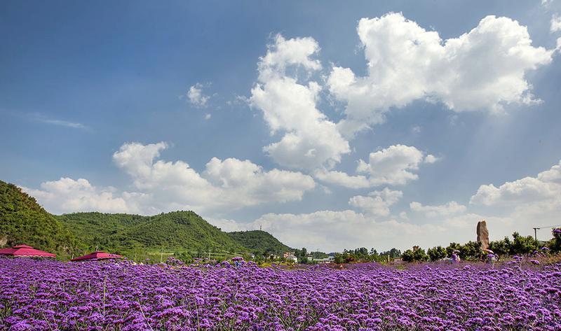 贵州A级旅游景区名录,贵阳市附近的旅游景区有哪些地方