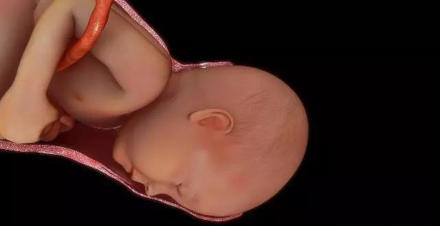 产道那么小婴儿是怎么出来的呢,孩子头那么大是怎么出产道的