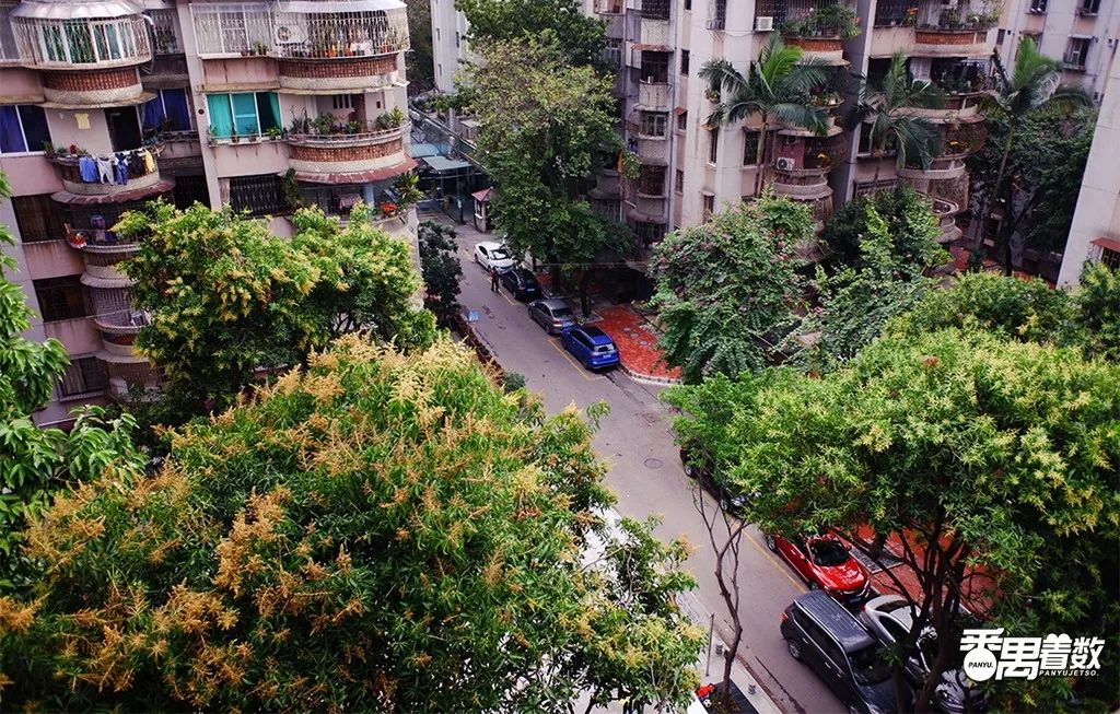 在广州番禺区居住怎么样,住在番禺的人的感受