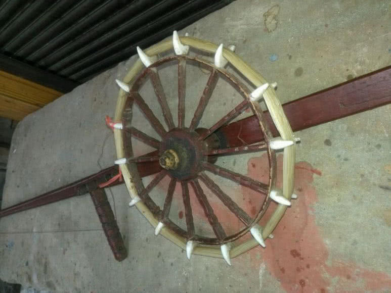 民间历史悠久,技术含量很高的渔猎绝技“打甲鱼”