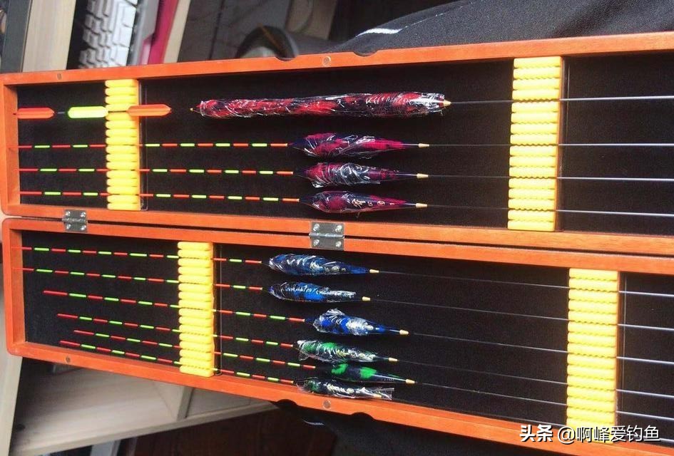 钓鱼初学入门基础知识,新手学习钓鱼入门基本知识