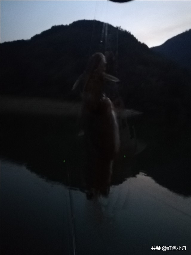 为什么四月份晚上不好钓鱼,4月份夜钓的最佳时间和方法