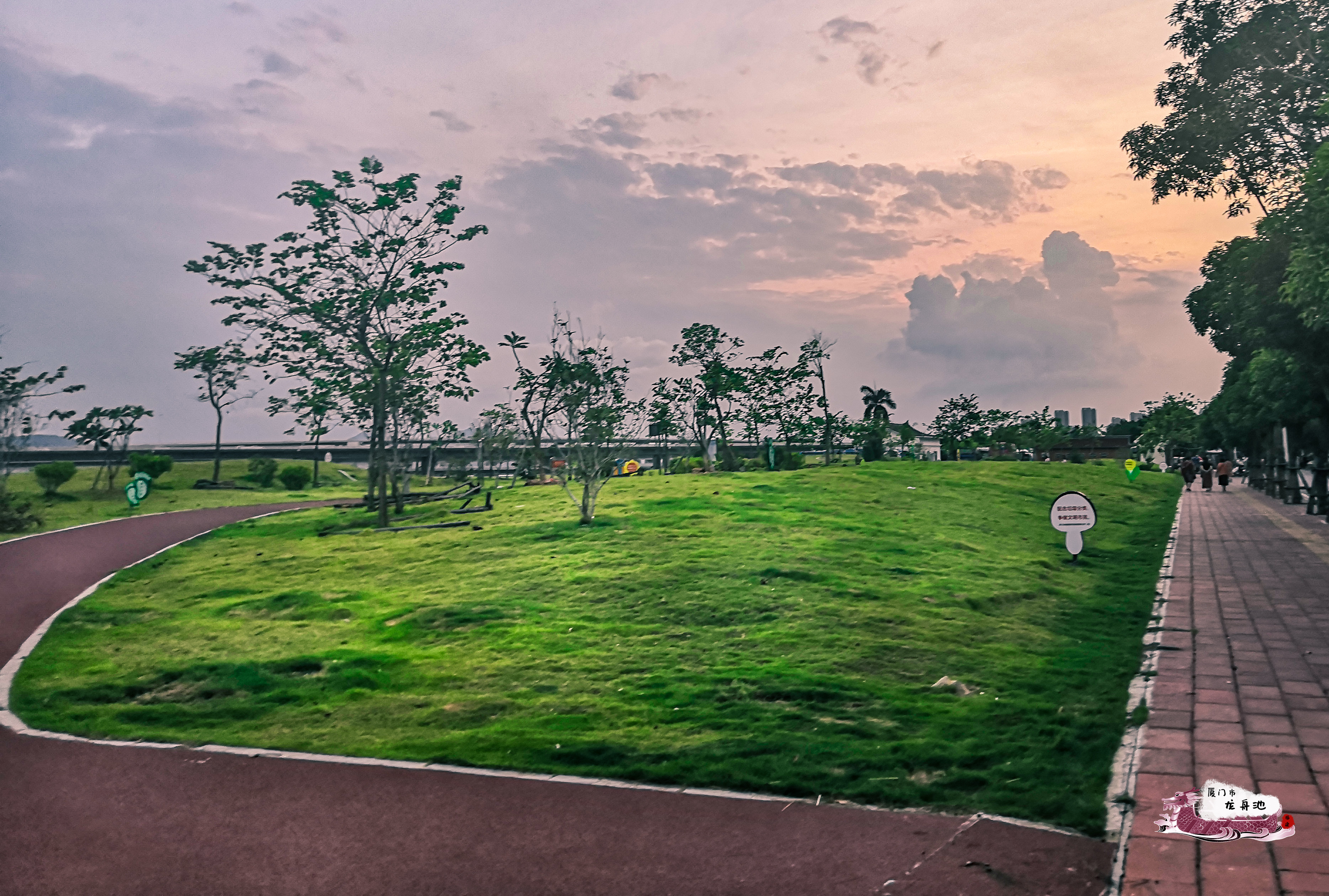 厦门旅游龙舟池攻略,厦门鼓浪屿攻略一天游玩
