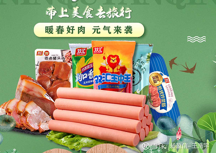 双汇发展战略分析报告,双汇发展研究报告