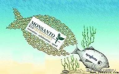 DDT、橙剂、转基因:生态环境摧毁者—孟山都